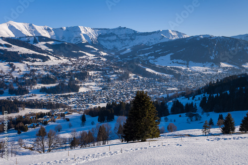 A fir tree near the city of Megeve in the middle of the Mont Blanc massif in Europe, France, Rhone Alpes, Savoie, Alps, in winter, on a sunny day.