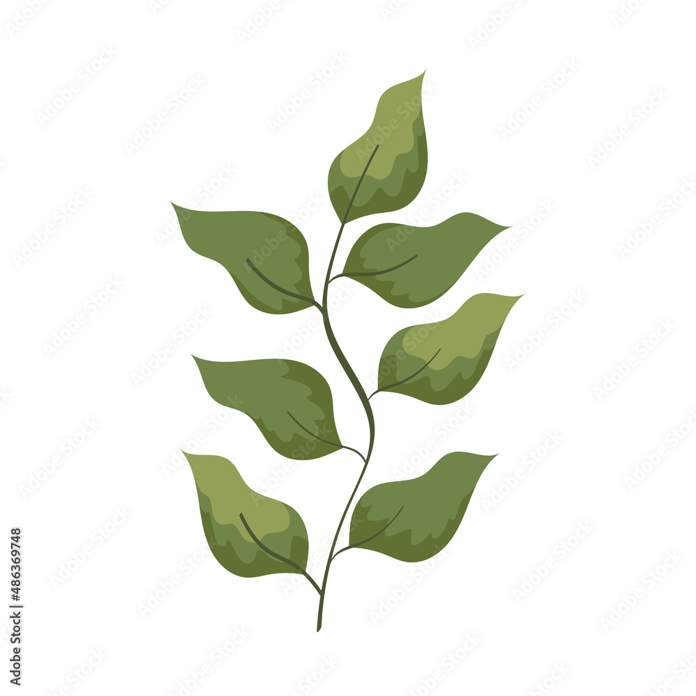 green watercolour leafs plant