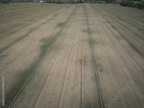 Field and grass