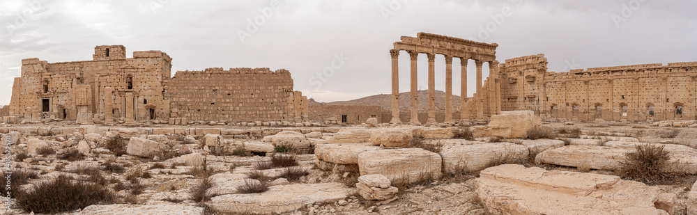 Panorama of ancient Palmyra in Syria
