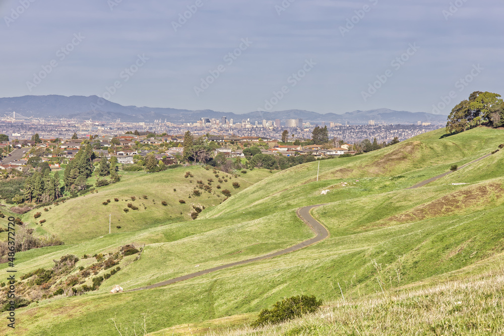 Fototapeta premium Rolling Green Hills in front of Oakland Skyline During the Day