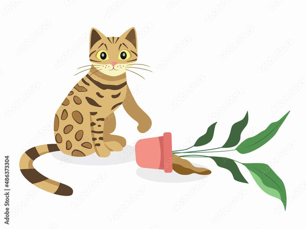 Obraz premium Bengal cat with a flower pot. Cartoon design.
