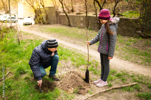 Preteen girl and his father planting new tree in spring outdoors in yard