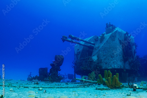Fotografie, Obraz Stern guns from the sunken wreck of the Russian frigate in Cayman Brac
