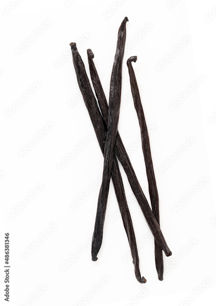 Dried Vanilla sticks isolated on white backgrounds. Dried Vanilla sticks isolated on white backgrounds.
