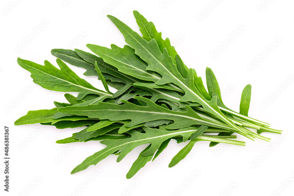 Fototapeta premium Arugula leaves isolated on white background. Closeup fresh wild rocket leaves on white background top view.