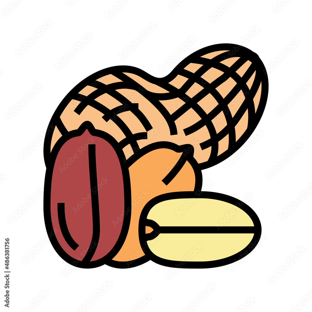 Obraz premium peanut nut color icon vector. peanut nut sign. isolated symbol illustration