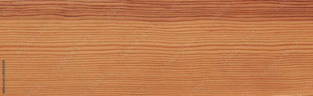 Wood texture background Wood texture background