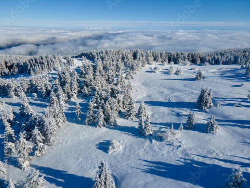 Fototapeta Naklejka Na Ścianę i Meble -  Aerial Winter view of Vitosha Mountain, Bulgaria