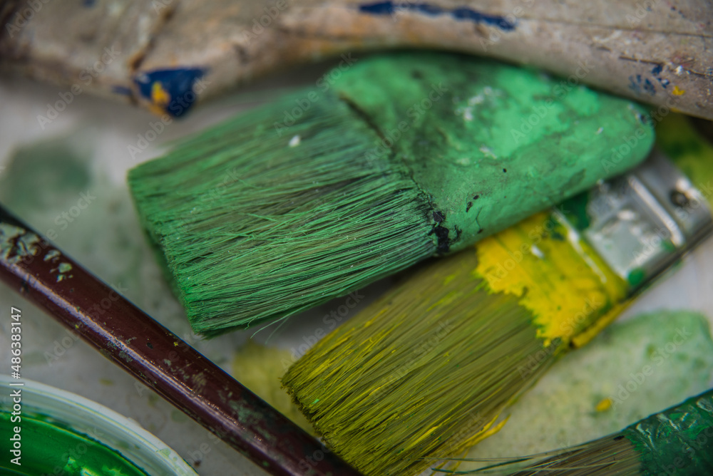 Fototapeta premium two worn paintbrushes, with green and yellow paint