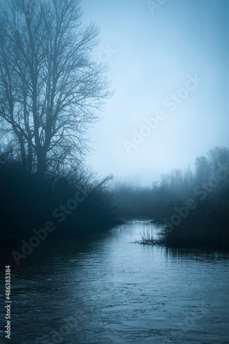 Wetland Area on a Foggy Morning in the Pacific Northwest. Atmospheric view of a small slough with reeds near the town of LaConner, Washington. photo