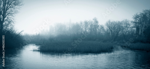 Wetland Area on a Foggy Morning in the Pacific Northwest. Atmospheric view of a small slough with reeds near the town of LaConner, Washington. photo