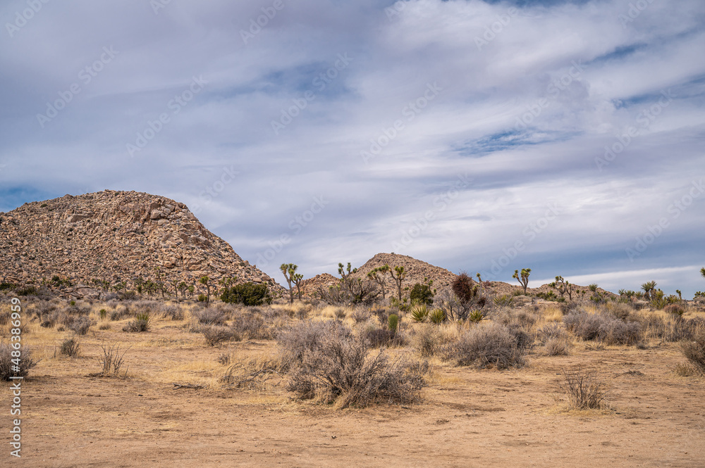 Joshua Tree National Park, CA, USA - January 31, 2022: Sandy dry desert landscape with 2 brown stone hills under blue cloudscape and bushes and cacti in front.