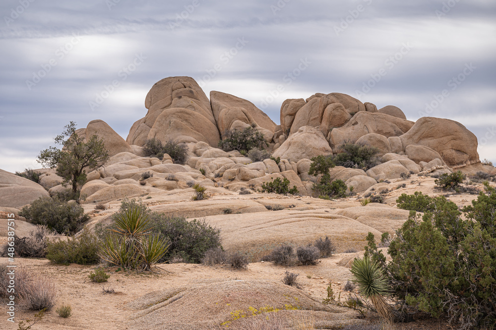 Joshua Tree National Park, CA, USA - January 31, 2022: Landscape of tall, beige, cracked-up boulder group on rocky desert floor with sprinkled green bushes under gray cloudscape. Joshua Tree National Park, CA, USA - January 31, 2022: Landscape of tall, beige, cracked-up boulder group on rocky desert floor with sprinkled green bushes under gray cloudscape.