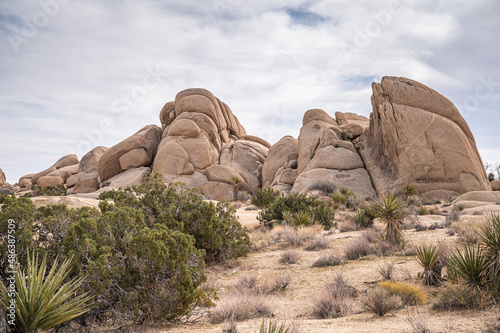 Joshua Tree National Park, CA, USA - January 31, 2022: Landscape with group of beige, cracked-up boulders on dry desert floor with green bushes under cloudscape. © Klodien