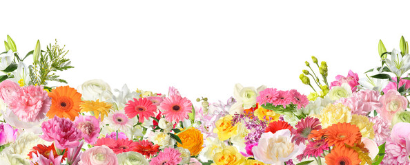 Beautiful fresh flowers on white background