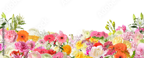 Beautiful fresh flowers on white background © Pixel-Shot