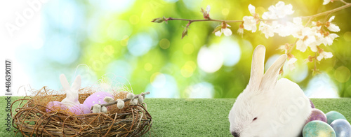 Cute bunny and beautiful Ea...