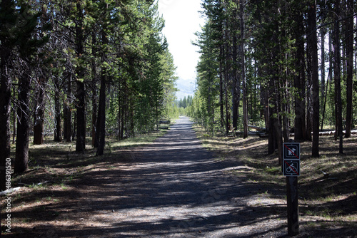 path in the woods