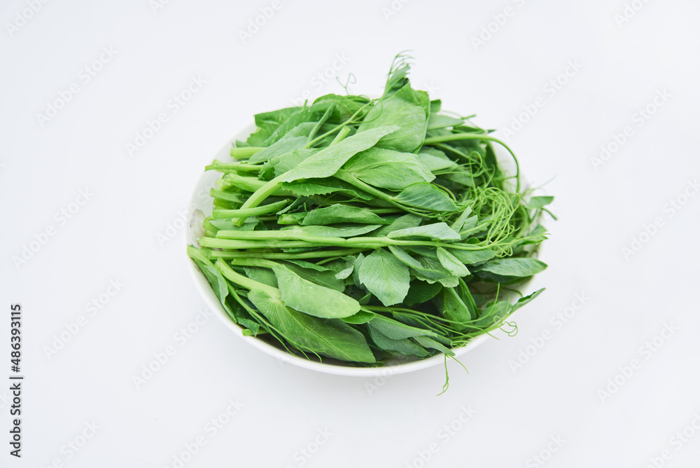 Dutch bean sprout vegetables on a white background Dutch bean sprout vegetables on a white background