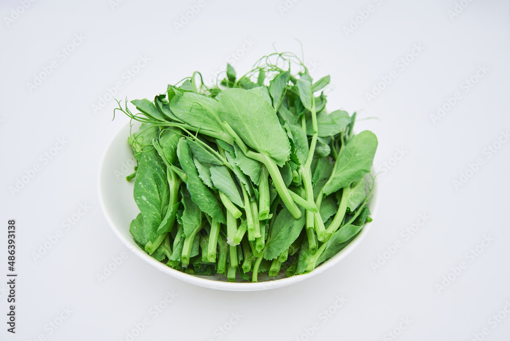 Dutch bean sprout vegetables on a white background Dutch bean sprout vegetables on a white background