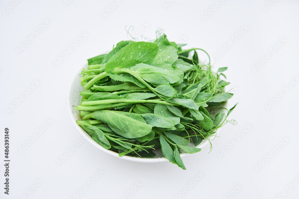Dutch bean sprout vegetables on a white background Dutch bean sprout vegetables on a white background