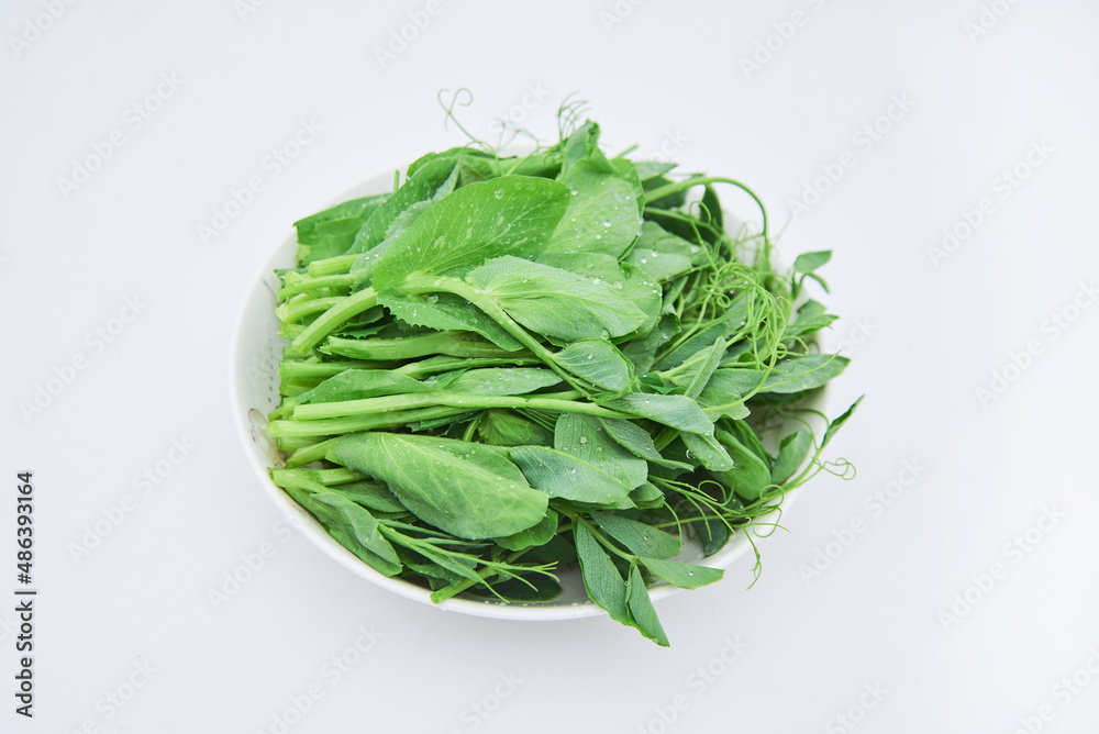 Dutch bean sprout vegetables on a white background Dutch bean sprout vegetables on a white background