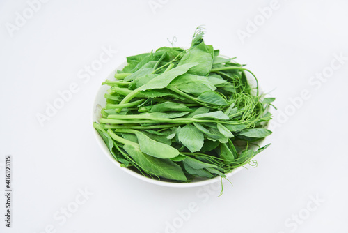 Dutch bean sprout vegetables on a white background