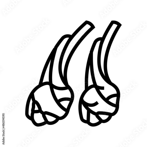 mutton meat line icon vector. mutton meat sign. isolated contour symbol black illustration photo