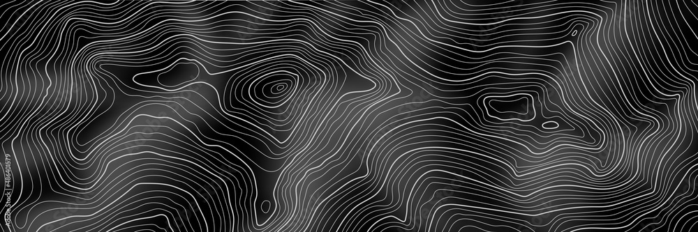 Imitation of a geographical map, light lines on black background, vector design, banner. Imitation of a geographical map, light lines on black background, vector design, banner.