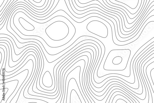 Imitation of a geographical map, black lines on white background, vector design.