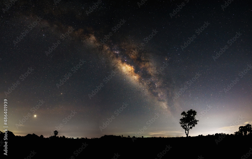 Panorama blue night sky milky way, star on dark background shadows of trees and meadows. with noise and grain.selection focus.