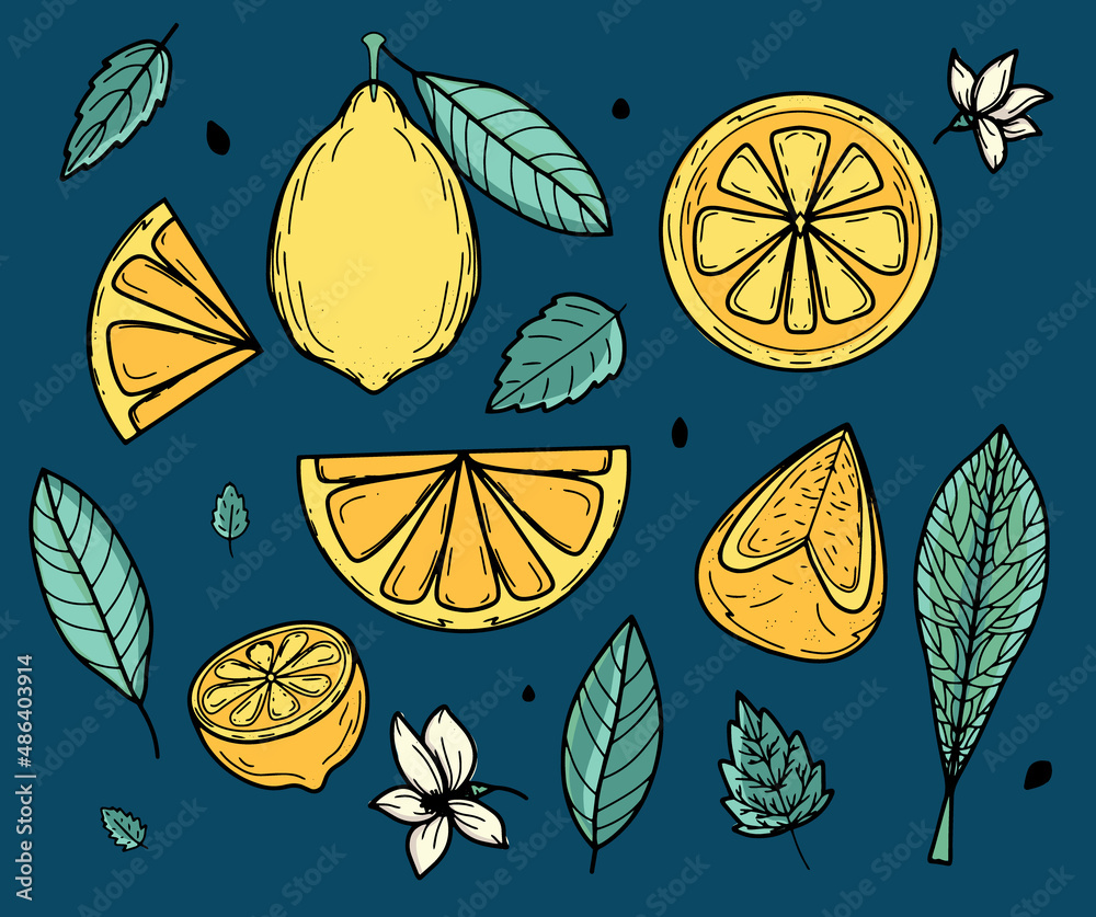 Vector set with yellow lemon and green leaves for summer design ...