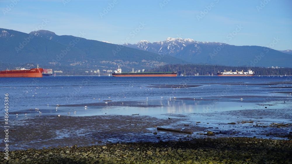 Panoramic view to vessels and snow mountain with sea gulls and water reflection at low-tide beach