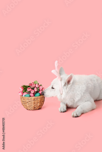Cute dog with bunny ears an...