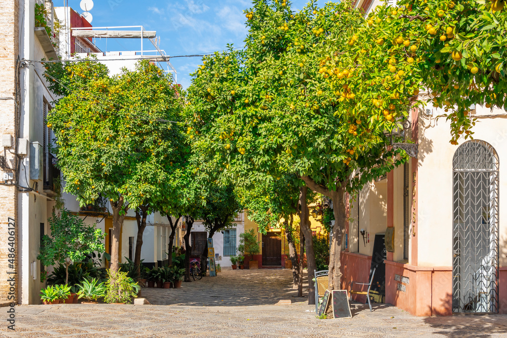 A small plaza square lined with orange trees in the historic Barrio Santa Cruz district of Seville, Spain.