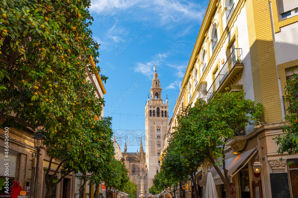 Obraz premium A typical orange tree lined street in the Barrio Santa Cruz district of Seville, Spain, with the cathedral and Giralda Tower in the distance.