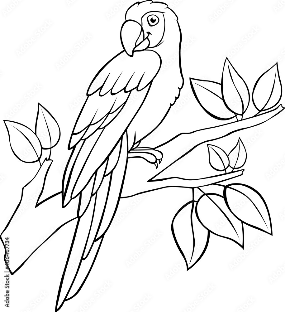 Coloring page. Cute parrot red macaw sits and smiles.