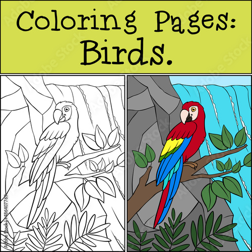 Coloring page with example. Cute parrot red macaw sits and smiles.