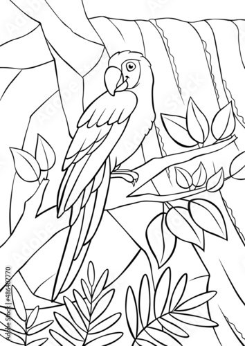 Coloring page. Cute parrot red macaw sits and smiles. There is waterfall in the background.