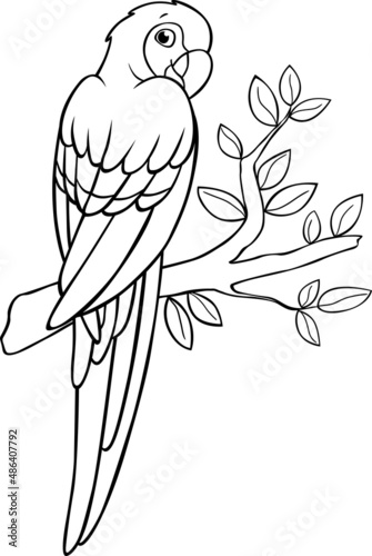 Coloring page. Cute parrot red macaw sits and smiles.