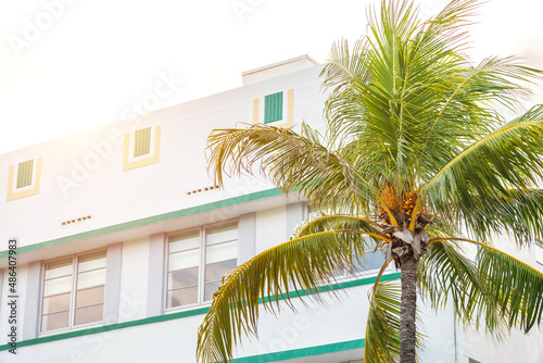 Closeup of typical colorful Art Deco architecture with tropical palm tree on Ocean Drive in South Beach, Miami, Florida, USA © SDF_QWE