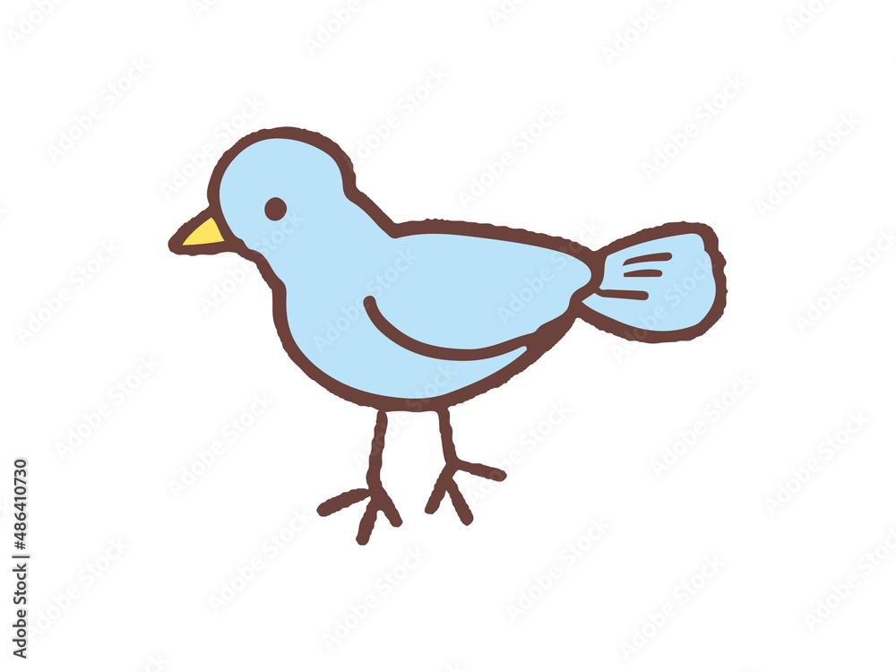 鳥 鳥