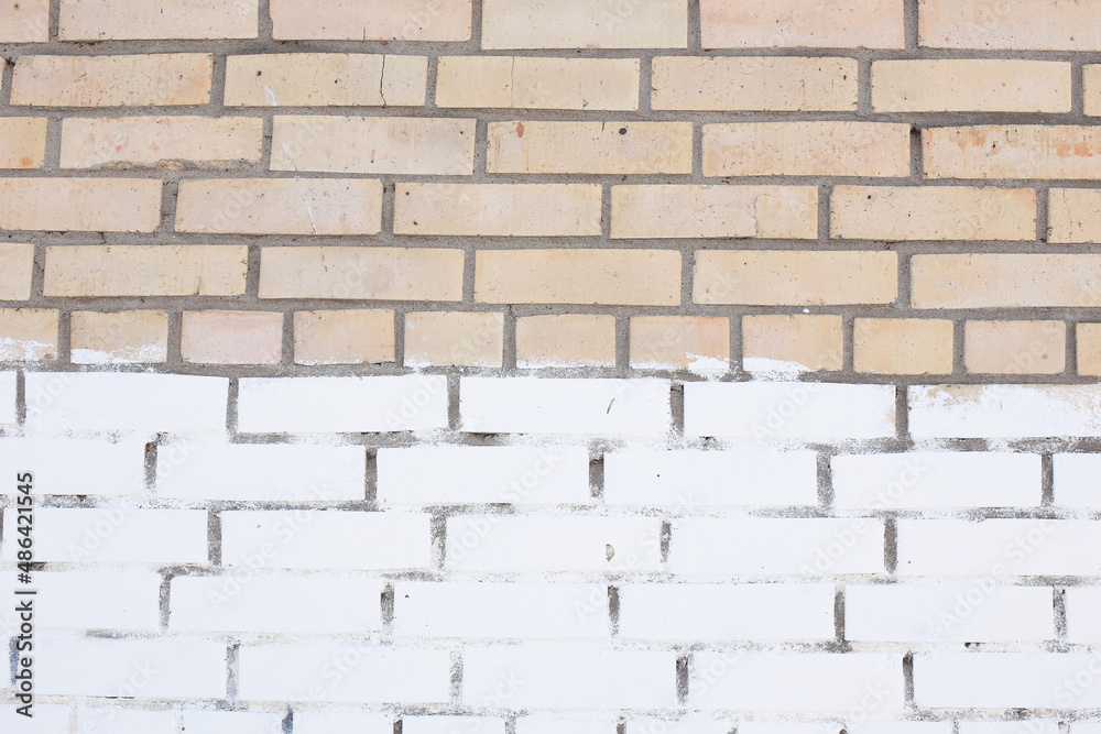 Fototapeta premium Brick wall