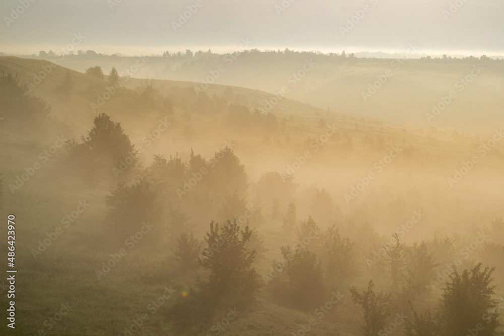 Foggy Morning landscape