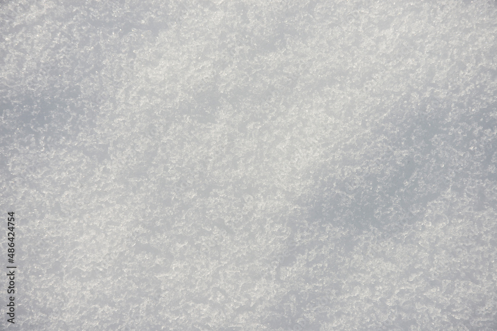 Fototapeta premium 雪肌