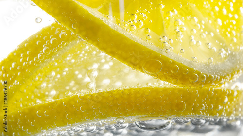 Fresh lemon slice in water with bubbles in the glass.