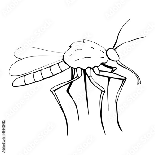 Vector black outline mosquito in doodle sketch style. Side view. Black and white drawing insect. Clipart, design element on theme of nature, spring, summer, isolated