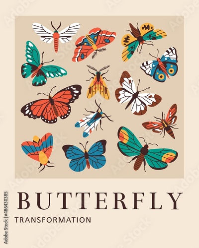 Butterfly and moth vector retro poster