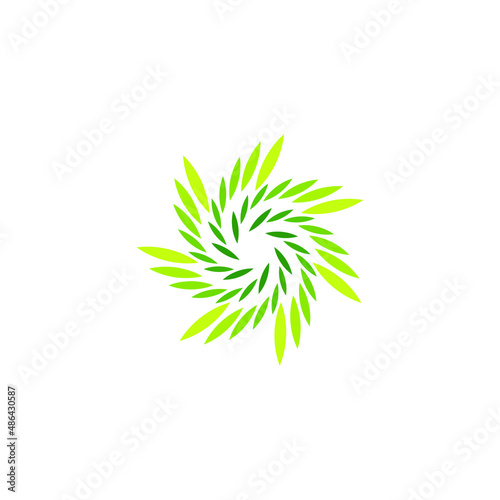 Spiral Leaves  Hemp CBA Logo Design Vector 